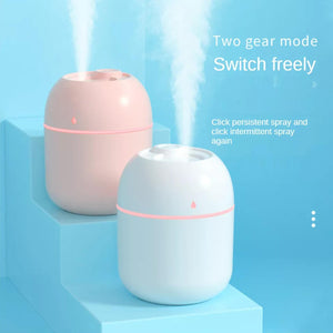 Electric Sprayer Humidifier